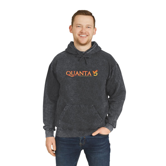 Quanta 5 Mineral Wash Hoodie – A Freonix Games Exclusive