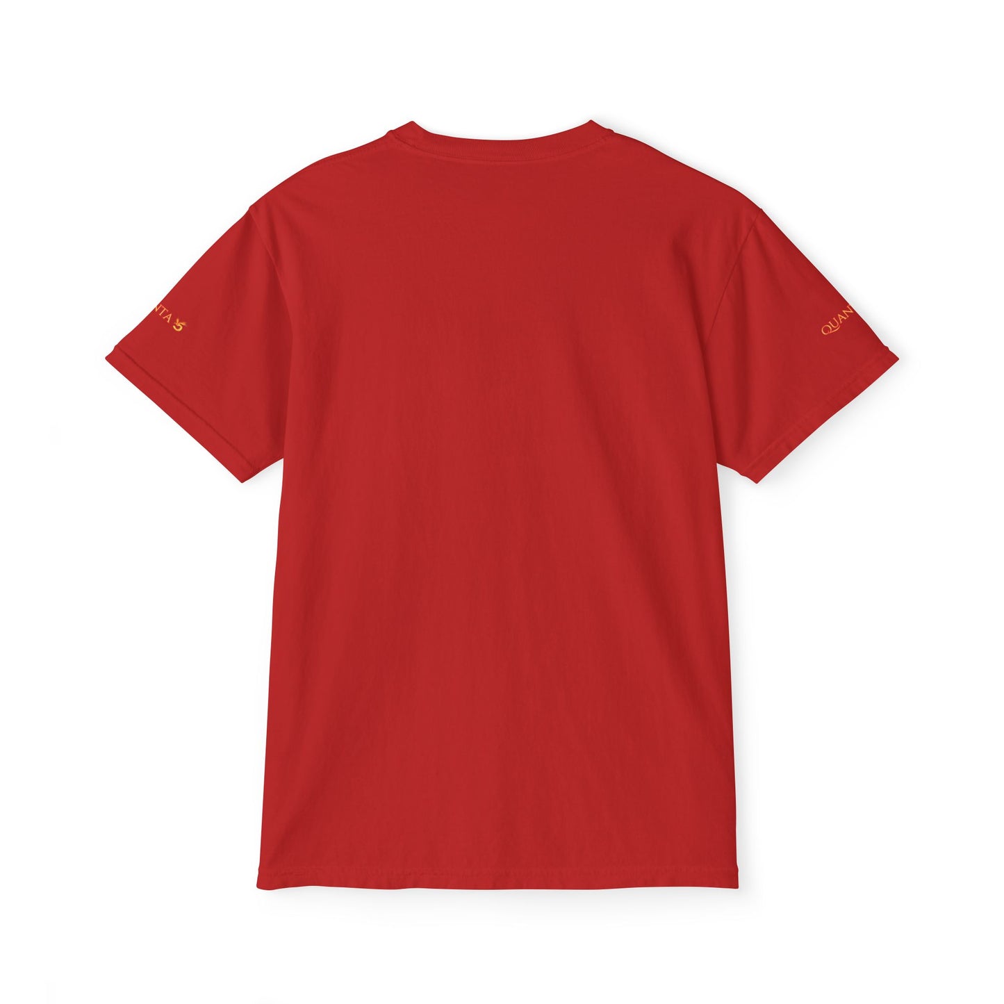 Pocket T-Shirt - Freonix Games Quanta 5 Phoenix Design